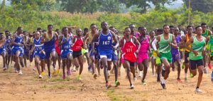 Read more about the article AAMUSTED Makes Impressive Debut at GUSA Cross Country Competition